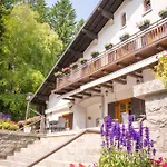 Rosa Delle Alpi Hotel 3*