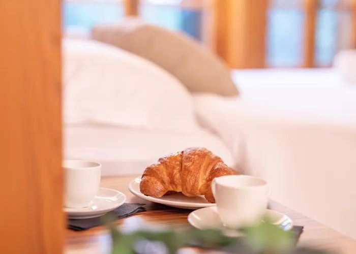 Rosa Delle Alpi Hotel 3*